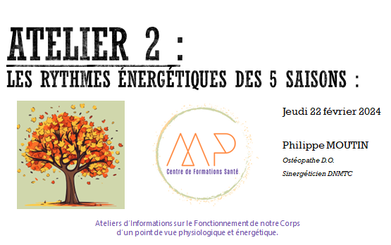 JMM Atelier 2 : Les 5 saisons