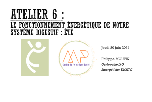 JMM Atelier 6 : Le fonctionnement énergétique de nos organes.